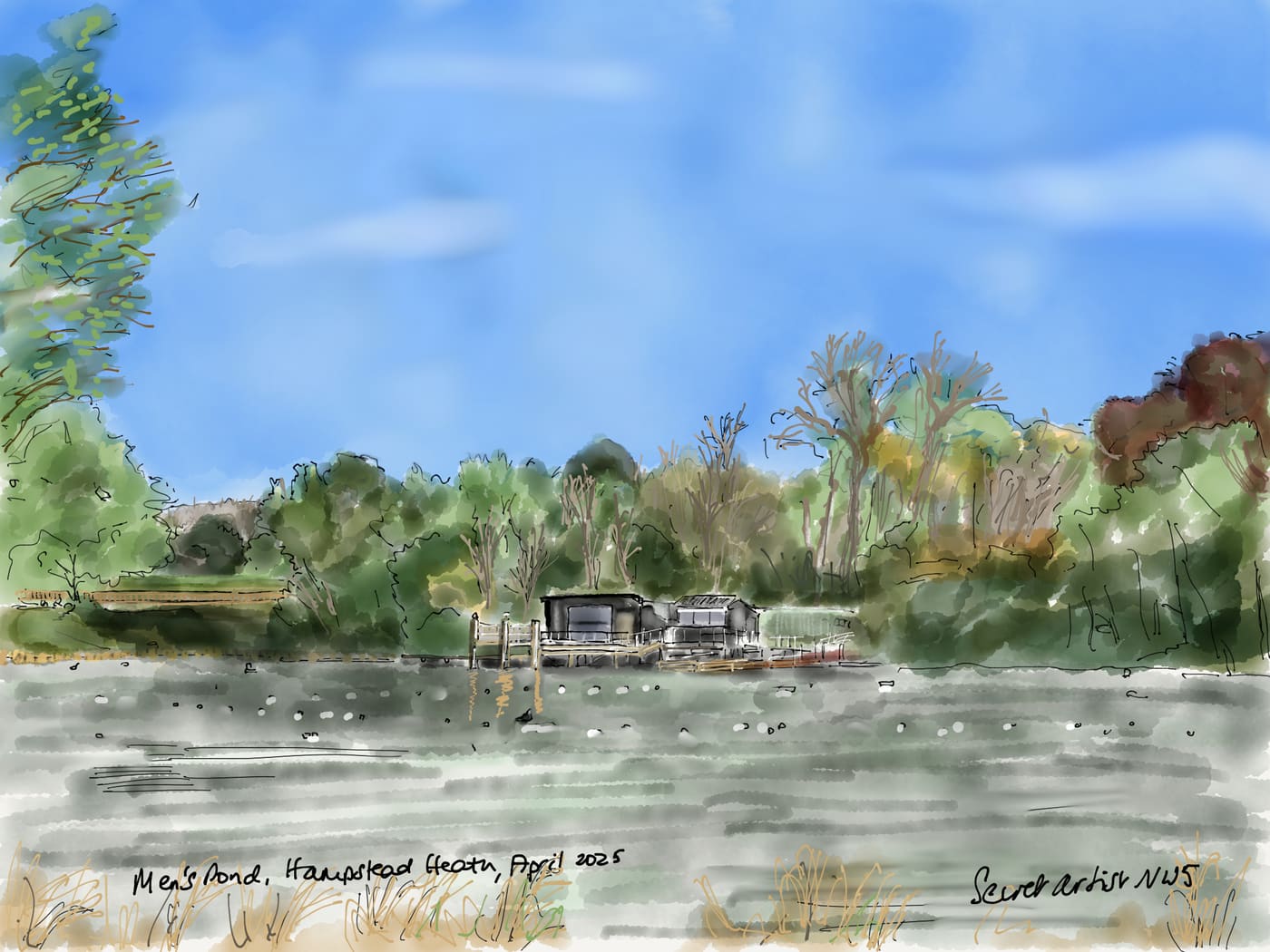 Men's Pond, Hampstead Heath, 2025