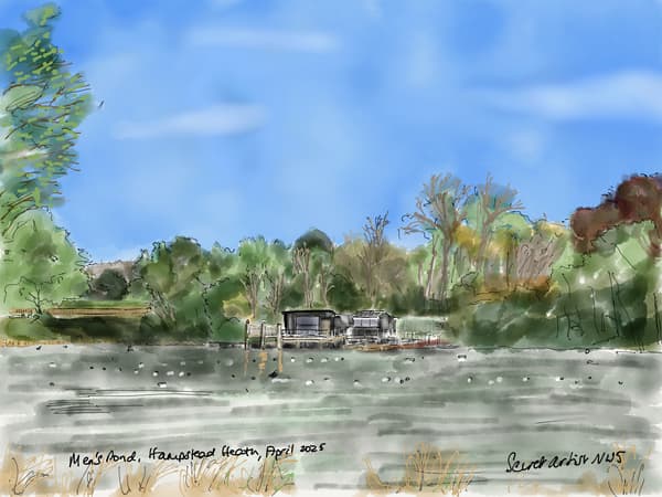 Men's Pond, Hampstead Heath, 2025